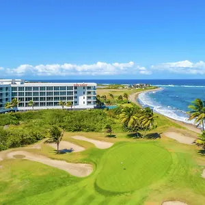 Koi Saint Kitts, Curio Collection By Hilton Basseterre